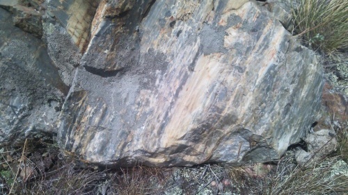 Гигантские зелёные валуны для ландшафтного дизайна весом более 5 тонн купить в Череповце