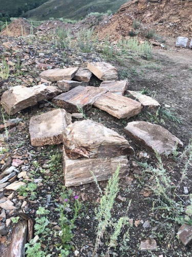 Плитняк кора дерева 50-100мм для пошаговых дорожек купить в Череповце